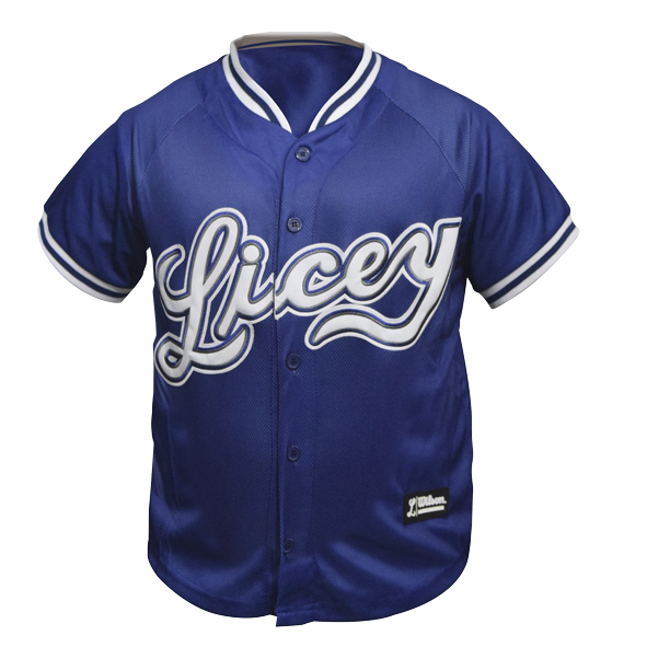 Jersey 8046 navy