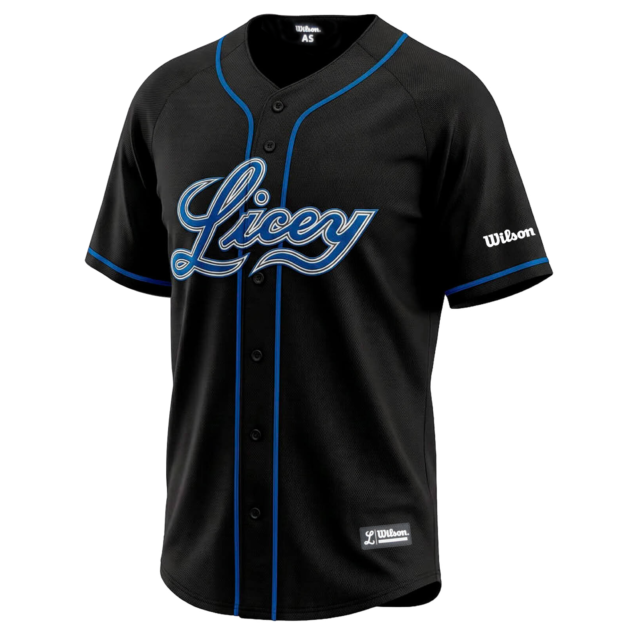 Jersey Negro Wilson